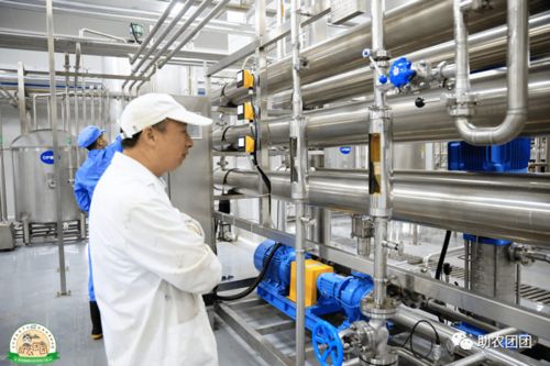 助農(nóng)團(tuán)團(tuán)丨刺梨產(chǎn)業(yè)巡禮① 刺梨原榨果汁,天然原味,你敢來(lái)喝嗎