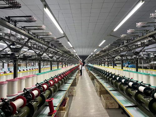 用好 數字化出?？?山東周村絲綢通過阿里國際站出海全球50多國