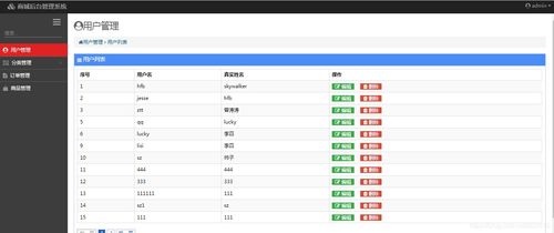 計算機(jī)軟件畢業(yè)設(shè)計項目源碼大全與淄博軟件定制服務(wù)指南